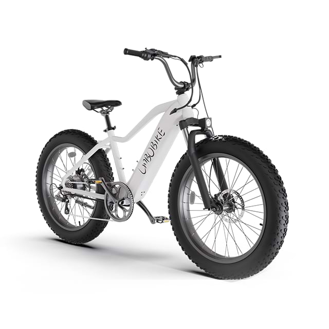 Bicicleta de montaña eléctrica Fat Tire de 26 pulgadas para desplazamientos urbanos LB-DS01