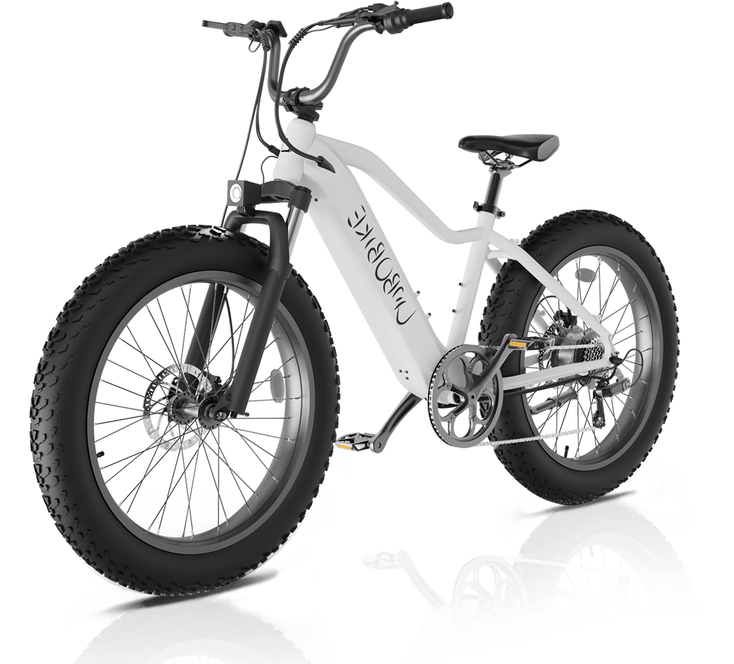 Imagen promocional que explica \'¿Por qué elegir las bicicletas Linbo?\'destacando los beneficios y características únicos de las bicicletas eléctricas de Linbo Transportation Tech.